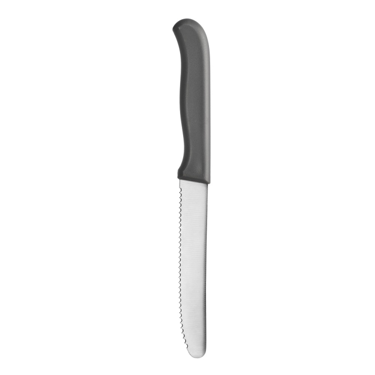 Nóż śniadaniowy DENIS 21cm